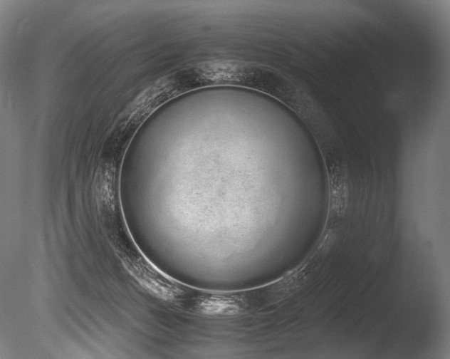 X0000086110175200703231511