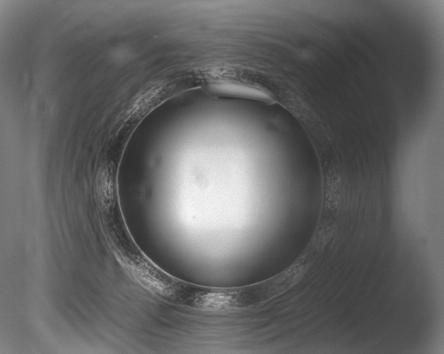 X0000086110176200703231511