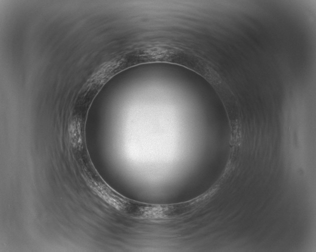 X0000086110182200703231511