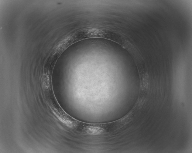 X0000086110183200703231511