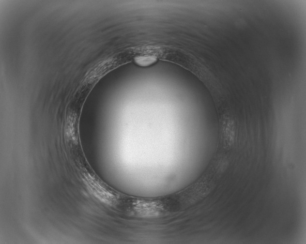 X0000086110185200703231511