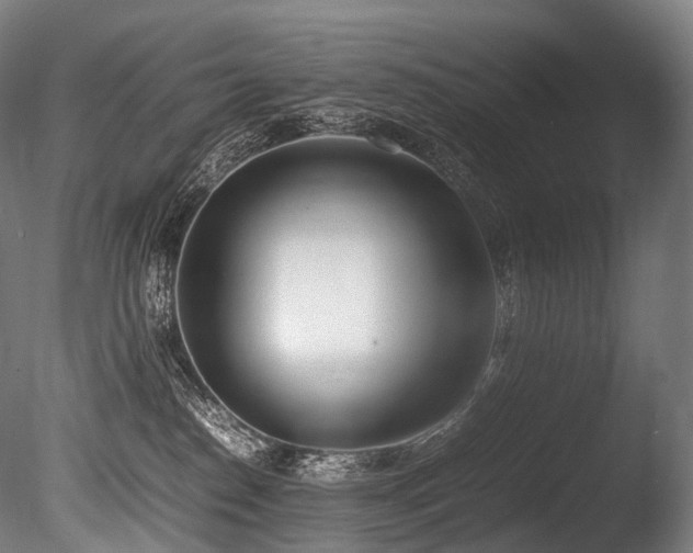 X0000086110186200703231511