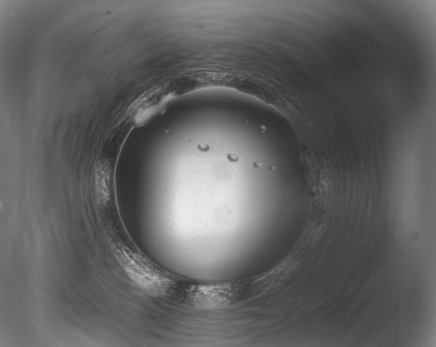 X0000086110188200703231511