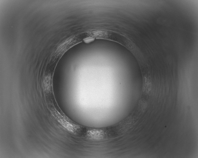 X0000086110189200703231511