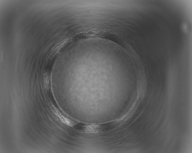 X0000086110192200703231511