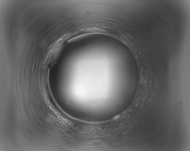 X0000086110193200703231510