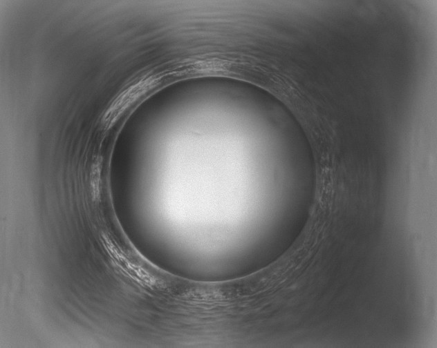 X0000086110194200703231510