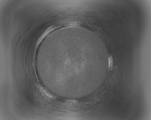 X0000086110195200703231510