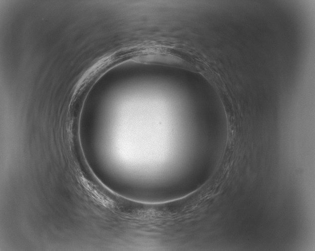 X0000086110197200703231510