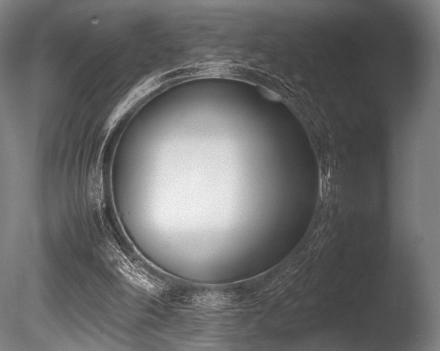X0000086110198200703231510