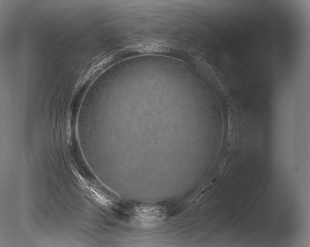 X0000086110202200703231510