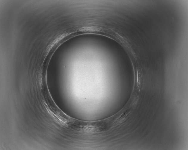 X0000086110204200703231510