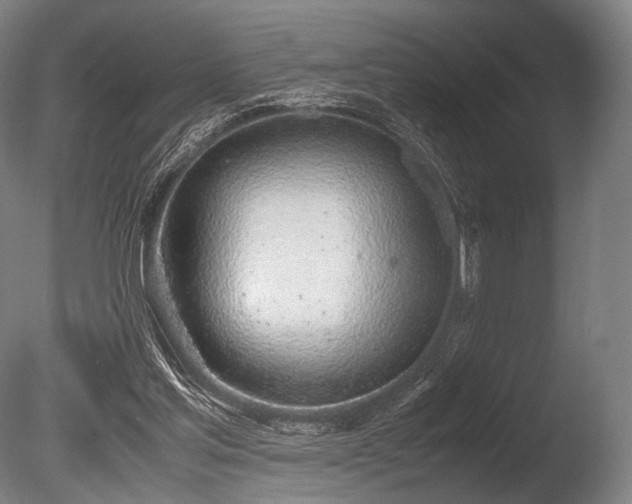 X0000086110205200703231510