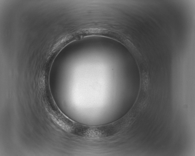 X0000086110207200703231510
