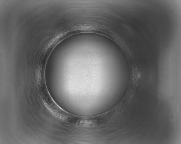 X0000086110208200703231510