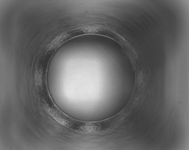 X0000086110209200703231510