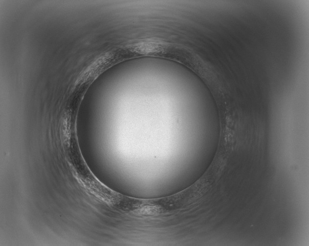 X0000086110210200703231510
