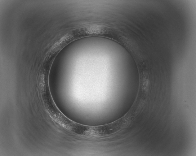 X0000086110211200703231510
