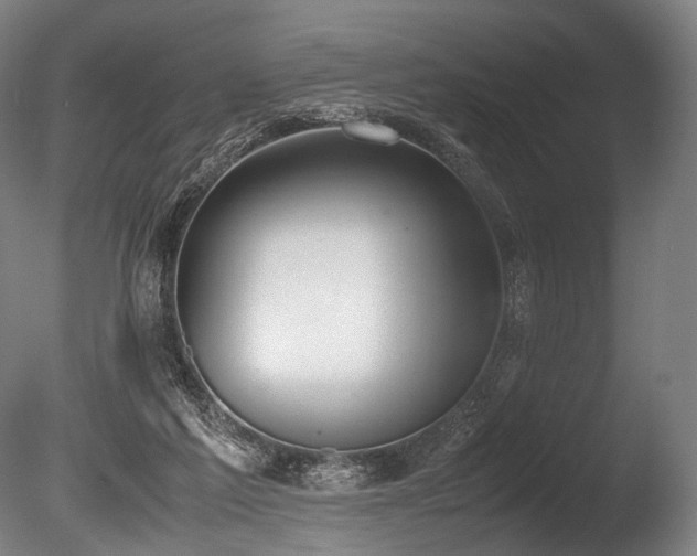 X0000086110213200703231510