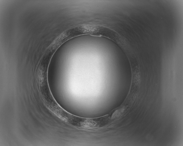 X0000086110215200703231510