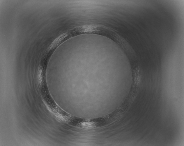 X0000086110216200703231510