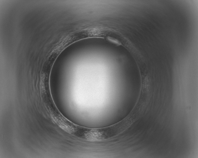 X0000086110217200703231510