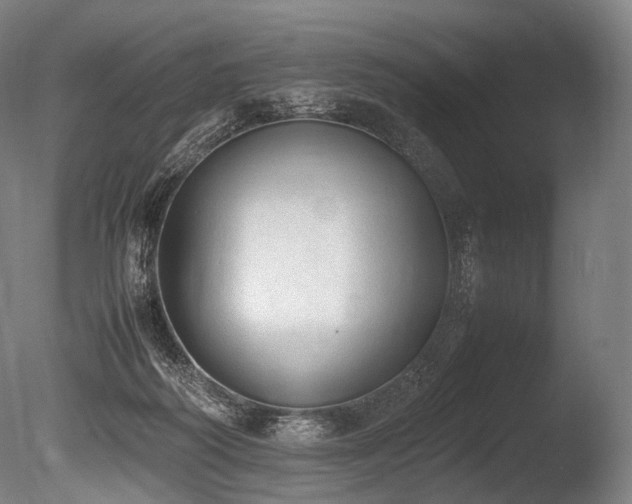 X0000086110218200703231510