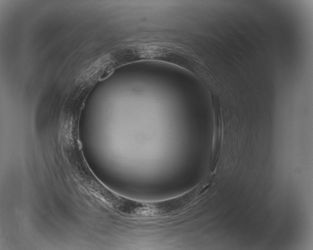 X0000086110219200703231510