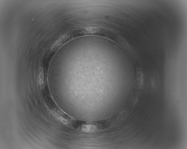 X0000086110220200703231510