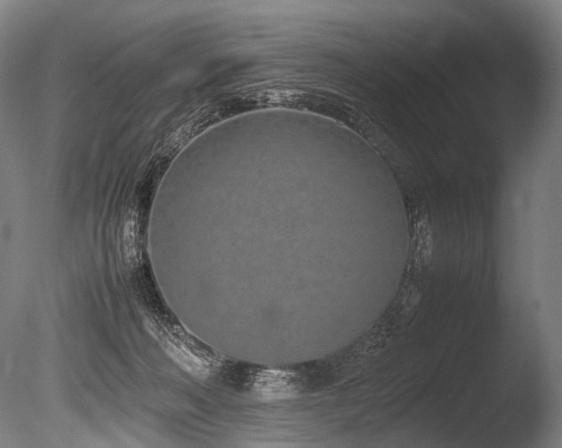 X0000086110222200703231510