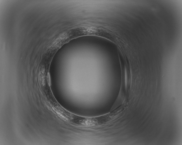 X0000086110223200703231510