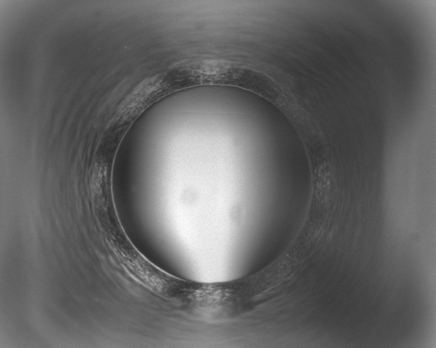 X0000086110225200703231510