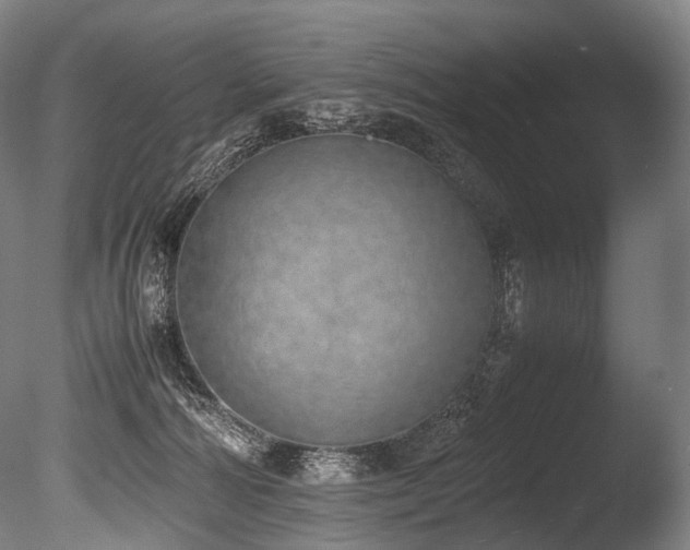 X0000086110226200703231510