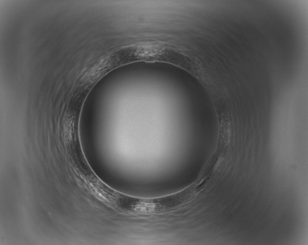 X0000086110227200703231510