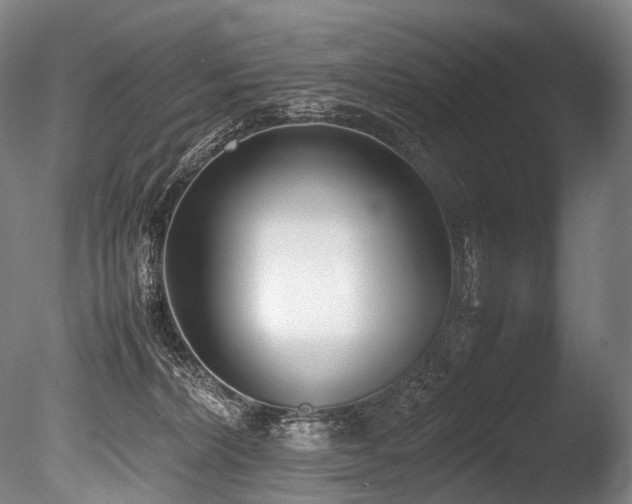 X0000086110228200703231510