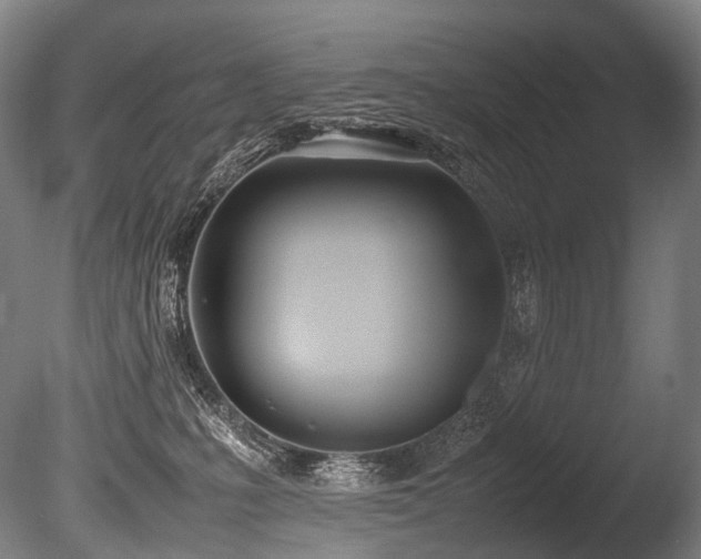X0000086110231200703231510