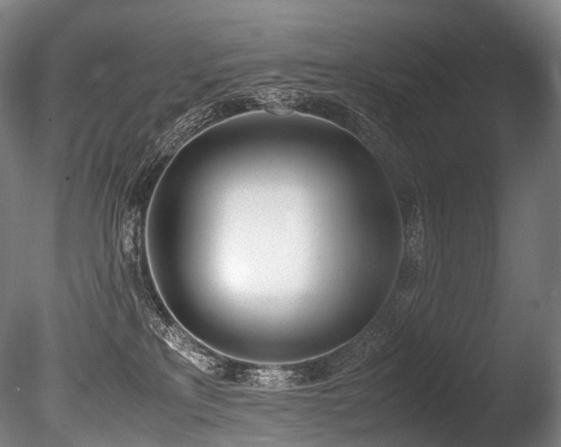 X0000086110233200703231509