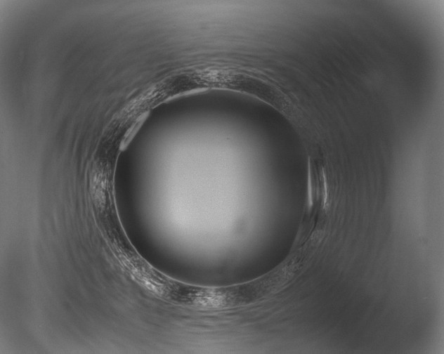 X0000086110235200703231509