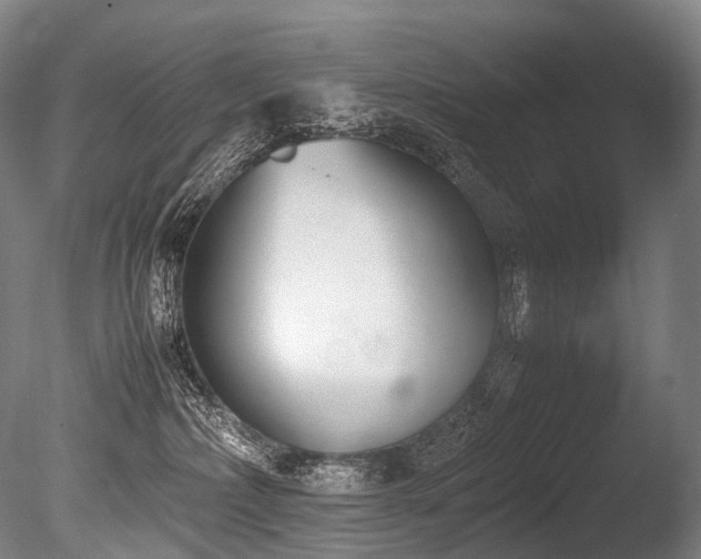 X0000086110236200703231509
