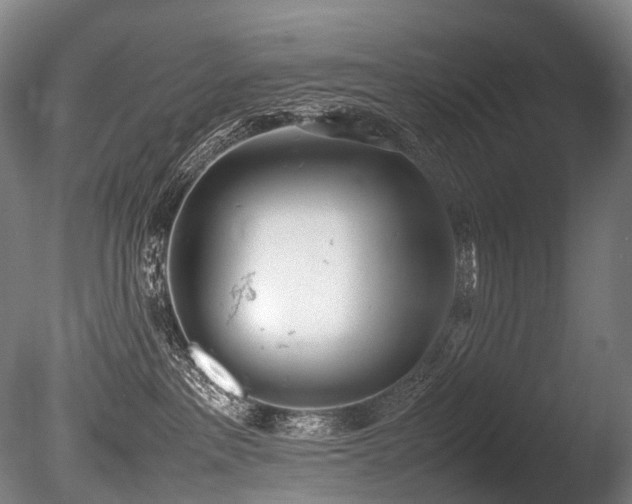 X0000086110237200703231509