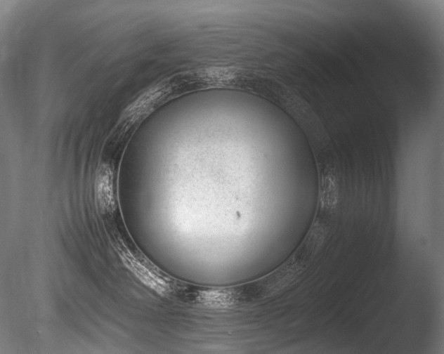 X0000086110238200703231509