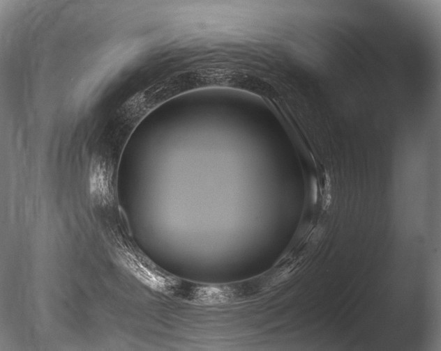 X0000086110239200703231509