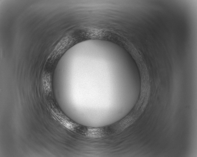 X0000086110240200703231509