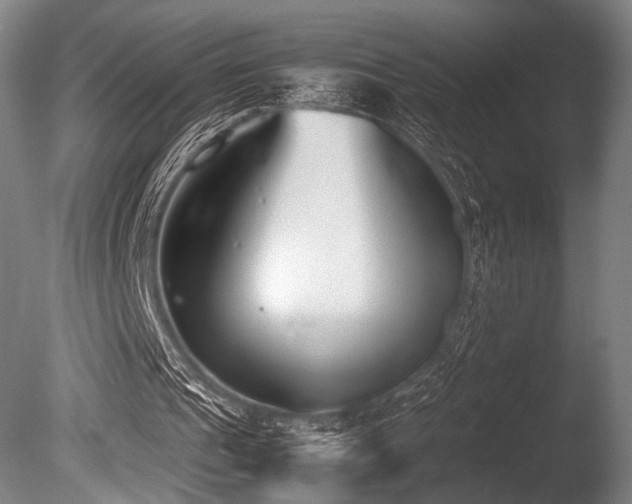 X0000086110241200703231509