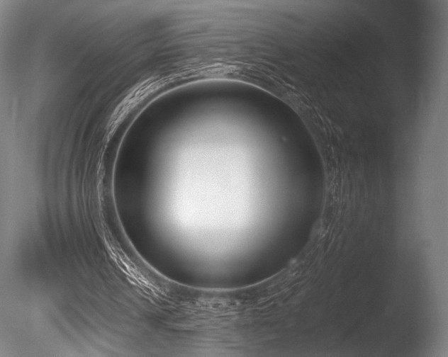 X0000086110242200703231509