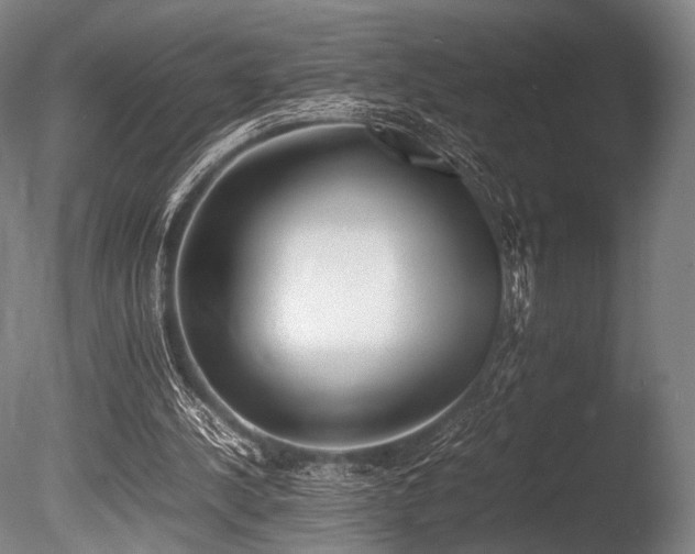 X0000086110244200703231509