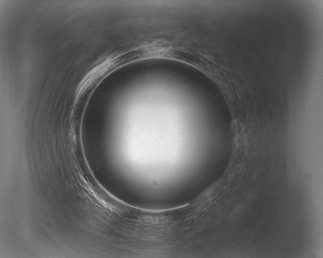 X0000086110245200703231509