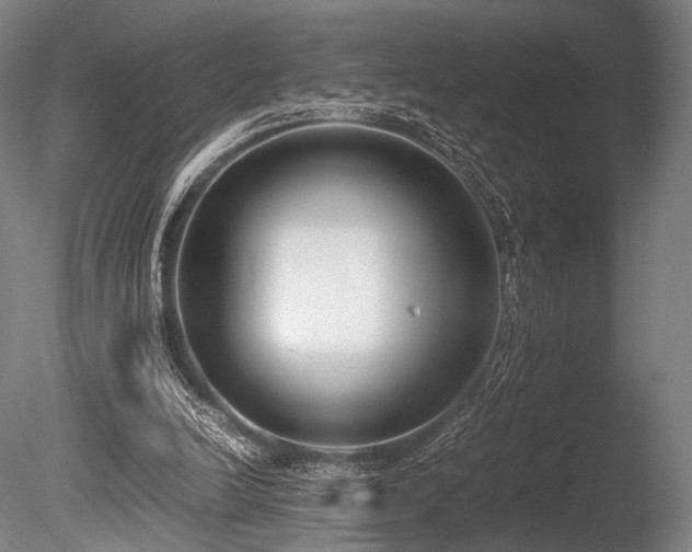 X0000086110246200703231509
