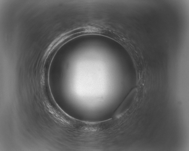 X0000086110247200703231509