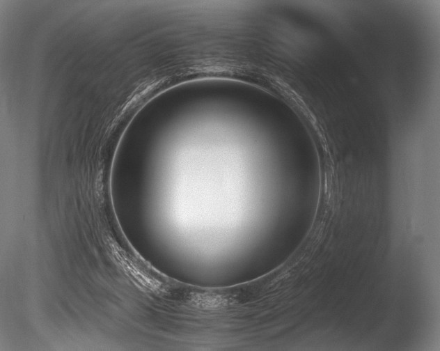 X0000086110249200703231509